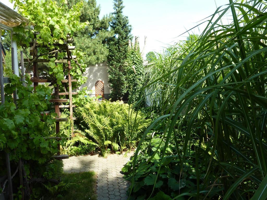 Pension Muench "Am Anger" Neuseusslitz Exterior photo